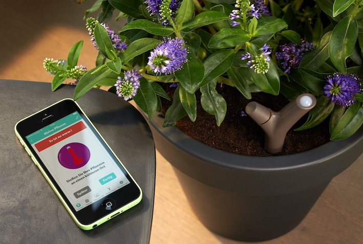 Parrot Flower Power zeichnet die für das Pflanzenwachstum relevanten Daten wie z.B. Bodenfeuchtigkeit, Nährstoffgehalt des Bodens, Umgebungstemperatur und Lichtstärke, alle 15 Minuten auf und sendet sie zum Smartphone oder Tablet.