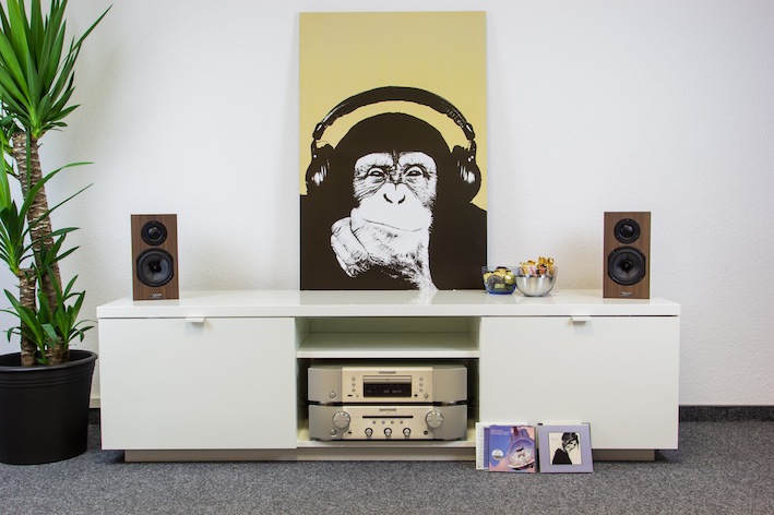 Auch auf dem Lowboard oder TV-Schrank machen die Opus M14 eine sehr gute Figur. Idealerweise stehen die beiden Böschen hier allerdings maximal drei Meter auseinander.