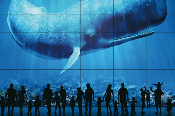 Die neuen Digital Signage Displays von BenQ verfügen über extra schmale Rahmen und eigenen sich daher für den Videowall-Einsatz.