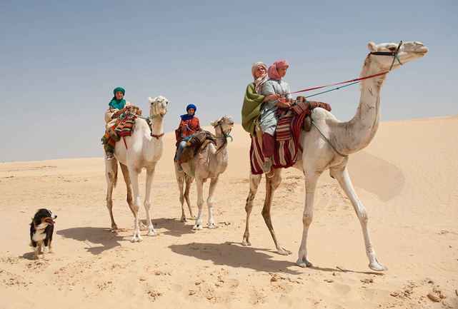 In der ägyptischen Wüste kommt es schließlich zum spannungsgeladenen Showdown mit dem Geheimbund und der altägyptischen Kultur. (© Constantin Film)