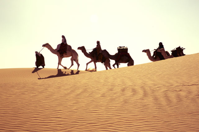 Die ausgedehnten Streifzüge durch die Wüste werden von 4K-Kameras beeindruckend eingefangen. (© Prokino Home Entertainment)