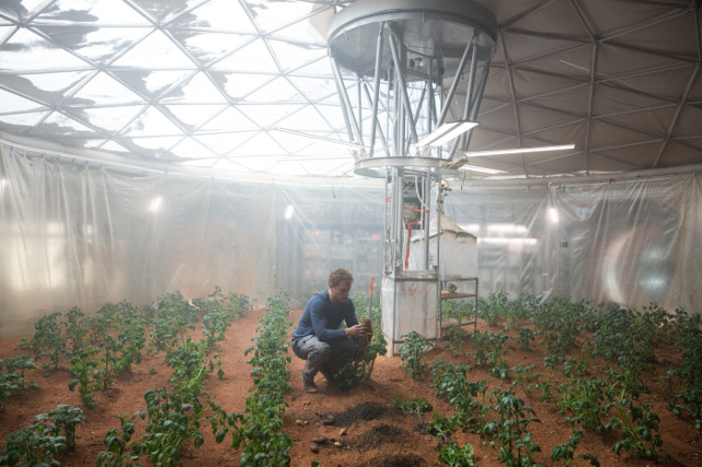 Glücklicherweise ist Watney als Botaniker mit dem grünen Daumen gesegnet und schafft es, auf dem Mars Kartoffeln anzubauen. (© 20th Century Fox)
