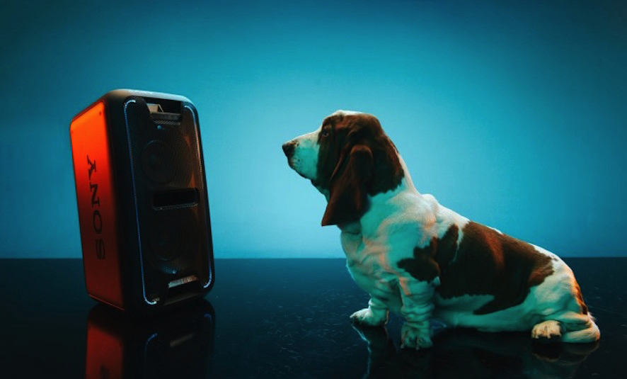 Gewaltige Bässe, kraftvoller Sound und coole Lichteffekte: Das neue Home-Audio-System GTK-XB7 ist das perfekte Gadget für Party Animals