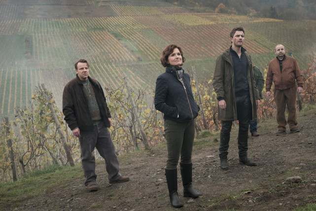 Ein Mann erwacht auf einem Weinberg aus der Bewusstlosigkeit. (© Studiocanal)