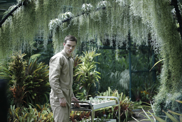 Das Leben von Silas (Nicholas Hoult) ist von sämtlichen Emotionen befreit. (© Koch Films)