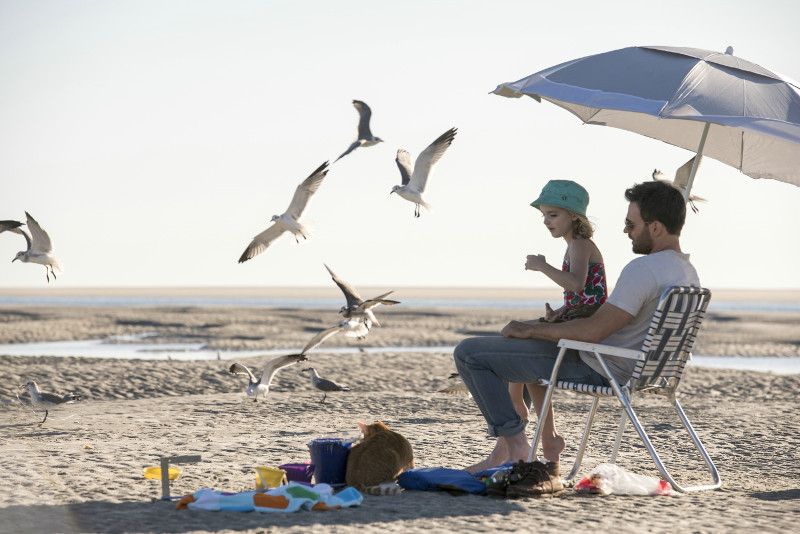 Der alleinstehende Frank (Chris Evans) lebt zusammen mit seiner Nichte Mary (McKenna Grace) in einem Vorort von Tampa. (© 20th Century Fox)