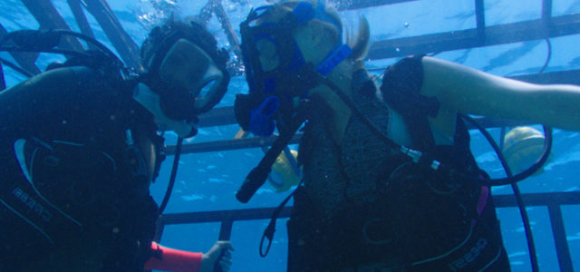 Kate und Lisa geraten beim Haitauchen in eine brenzlige Lage. (© Universum Film)