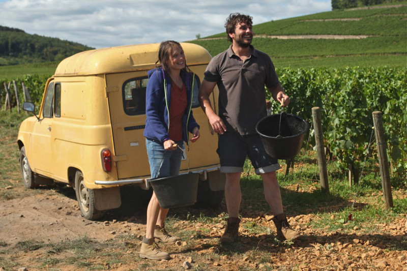 Es ist Spätsommer im Burgund und die Weinernte steht bevor. (© Studiocanal)