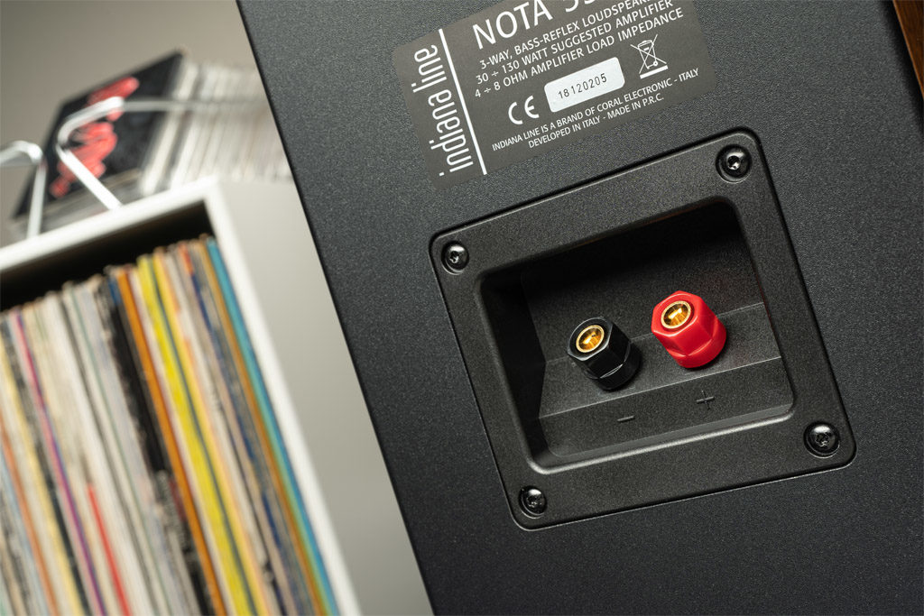 Wie in der Preisklasse üblich, muss auch die Nota 550 X mit einem Single-Wiring-Terminal auskommen.