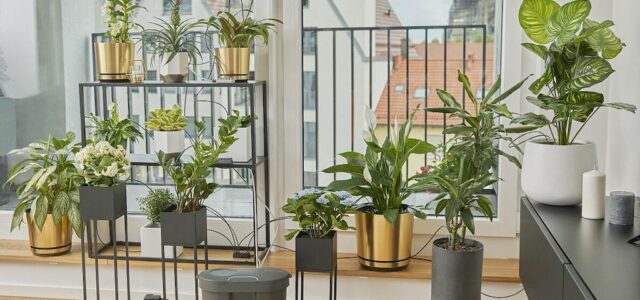 Pflanze allein zu Haus – Smarte Tricks für die schönste Zeit des Jahres von Gardena