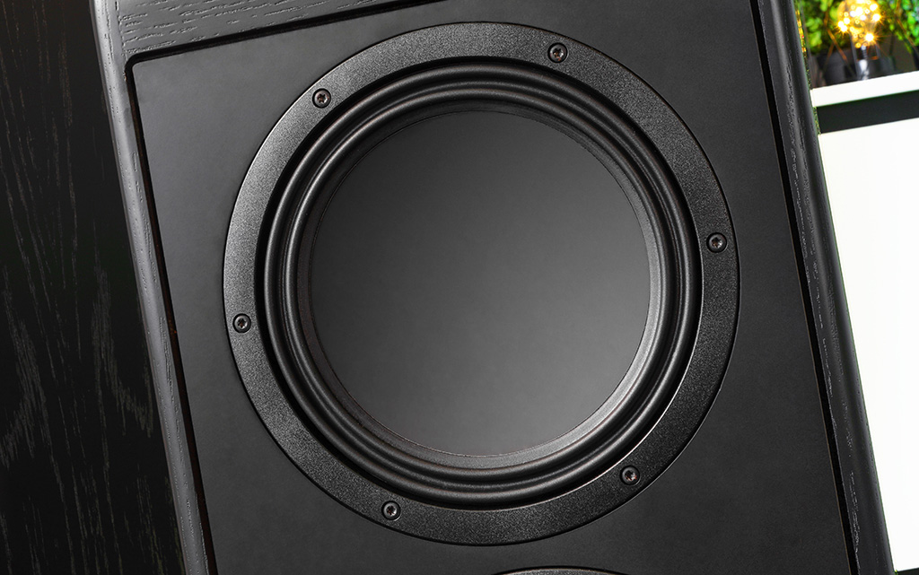 Einer der beiden Woofer der Ergo GS Edition. Zusammen mit dem zweiten Tieftöner ergibt sich eine große resultierende Membranfläche. Im Verbund mit der großen Hubfähigkeit, dem hohen Auslenkvermögen, der hier gut erkennbaren Wave-Sicke, die dieses Auslenken begünstigt, und der Bassreflexabstimmung, bietet die Ergo GS Edition eine imposanten, tiefreichenden Bass.