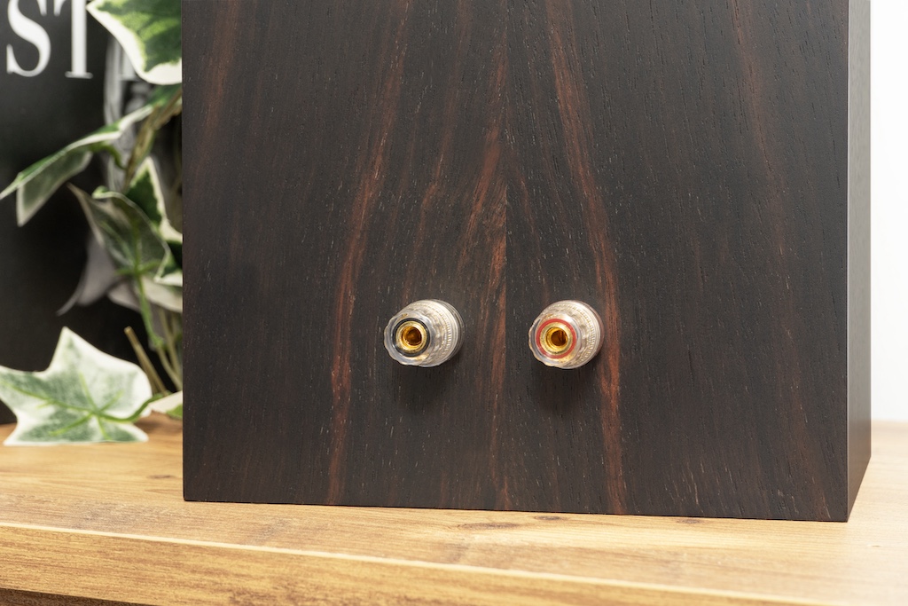 Für den Verstärkeranschluss bietet der Monitor zwei Klemmen für den Sigle-Wire-Betrieb. Die Klemmen sind von sehr guter Qualität: Sie besitzen große Aufnahmen, sodass selbst querschnittstarke Litzen einführbar sind. Die feinen Drähtchen werden dann dank der freilaufenden Andruckscheiben mechanisch schonend angepresst.