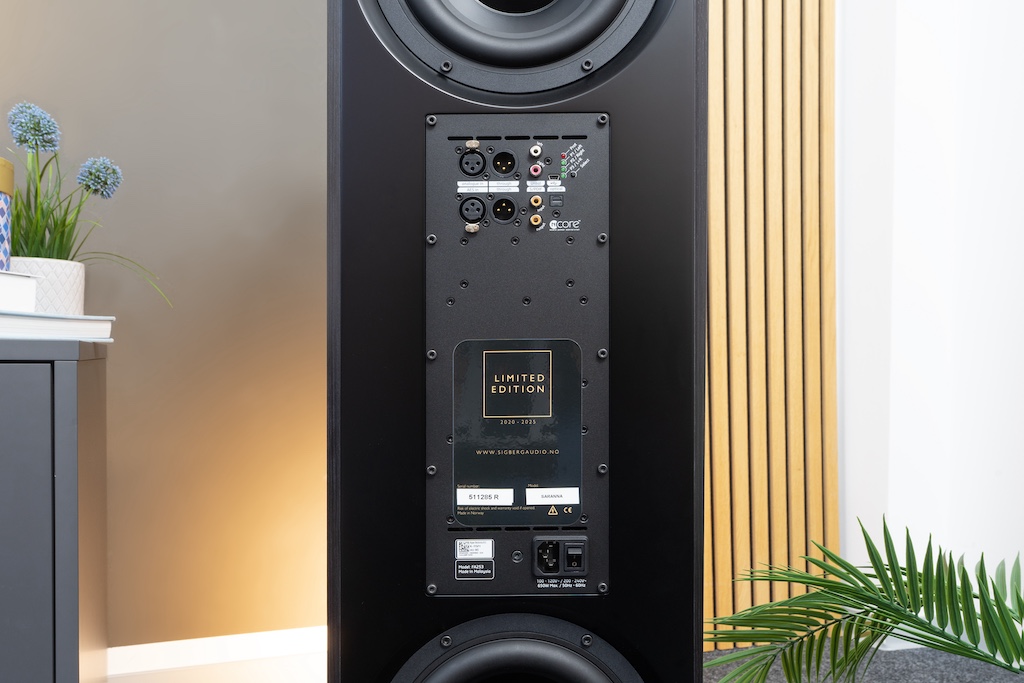 Der Blick auf die Rückseite offenbart, dass die Saranna ein Aktiv-Lautsprecher ist. Hinter der Blende sitzen drei Class-D-Verstärkermodule von Hypex, die jedem Lautsprecher eine Leistung von satten 600 Watt zur Verfügung stellen können.